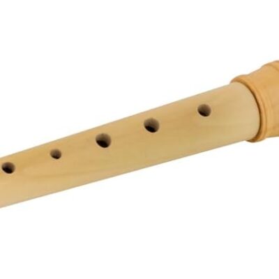 Recorder – childrens musical instrument